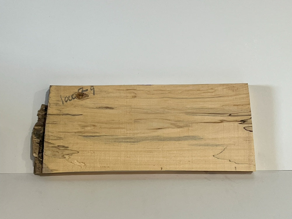 Spalted Maple Knife Scale Hardwood Plank (Unstabilized) 100029