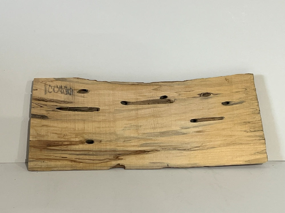 Spalted Maple Knife Scale Hardwood Plank (Unstabilized) 100030