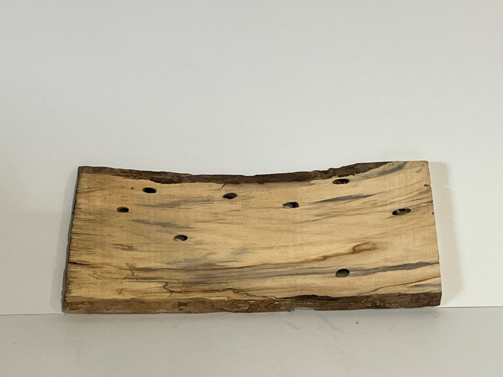Spalted Maple Knife Scale Hardwood Plank (Unstabilized) 100030