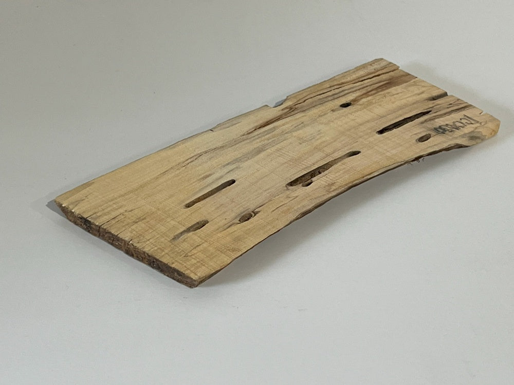 Spalted Maple Knife Scale Hardwood Plank (Unstabilized) 100030