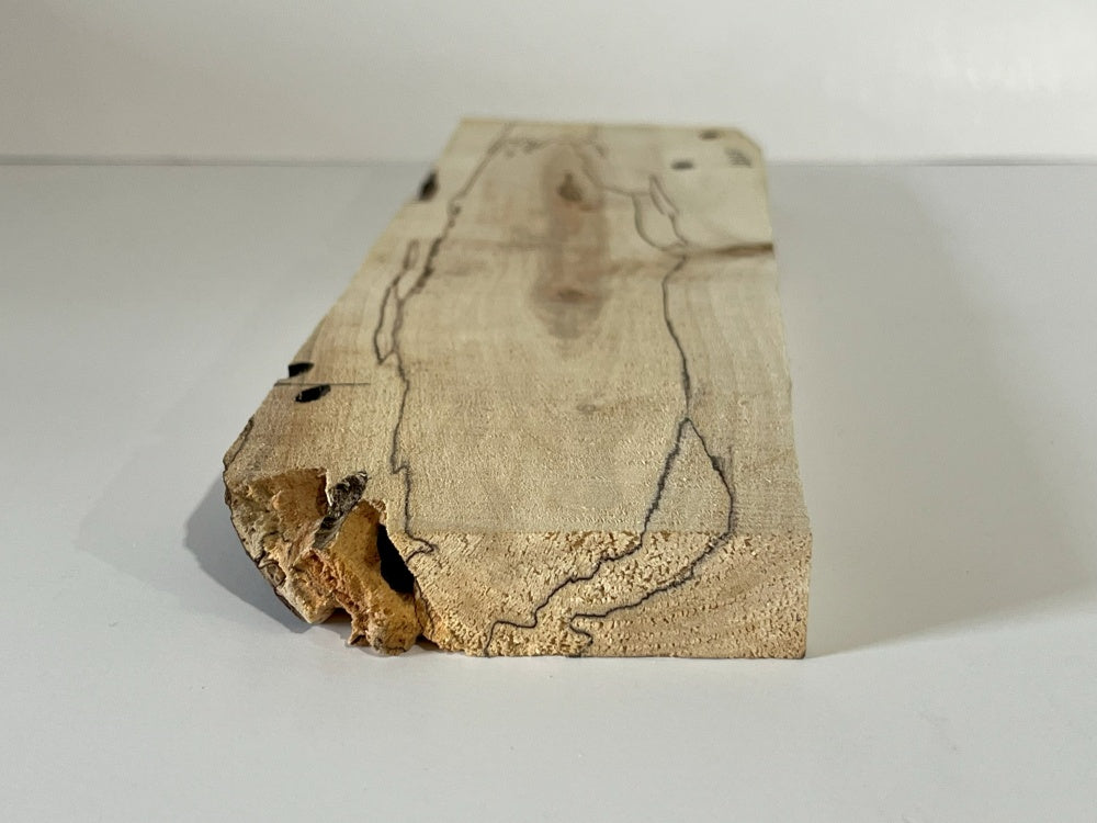 Spalted Maple Knife Scale Hardwood Plank (Unstabilized) 100035