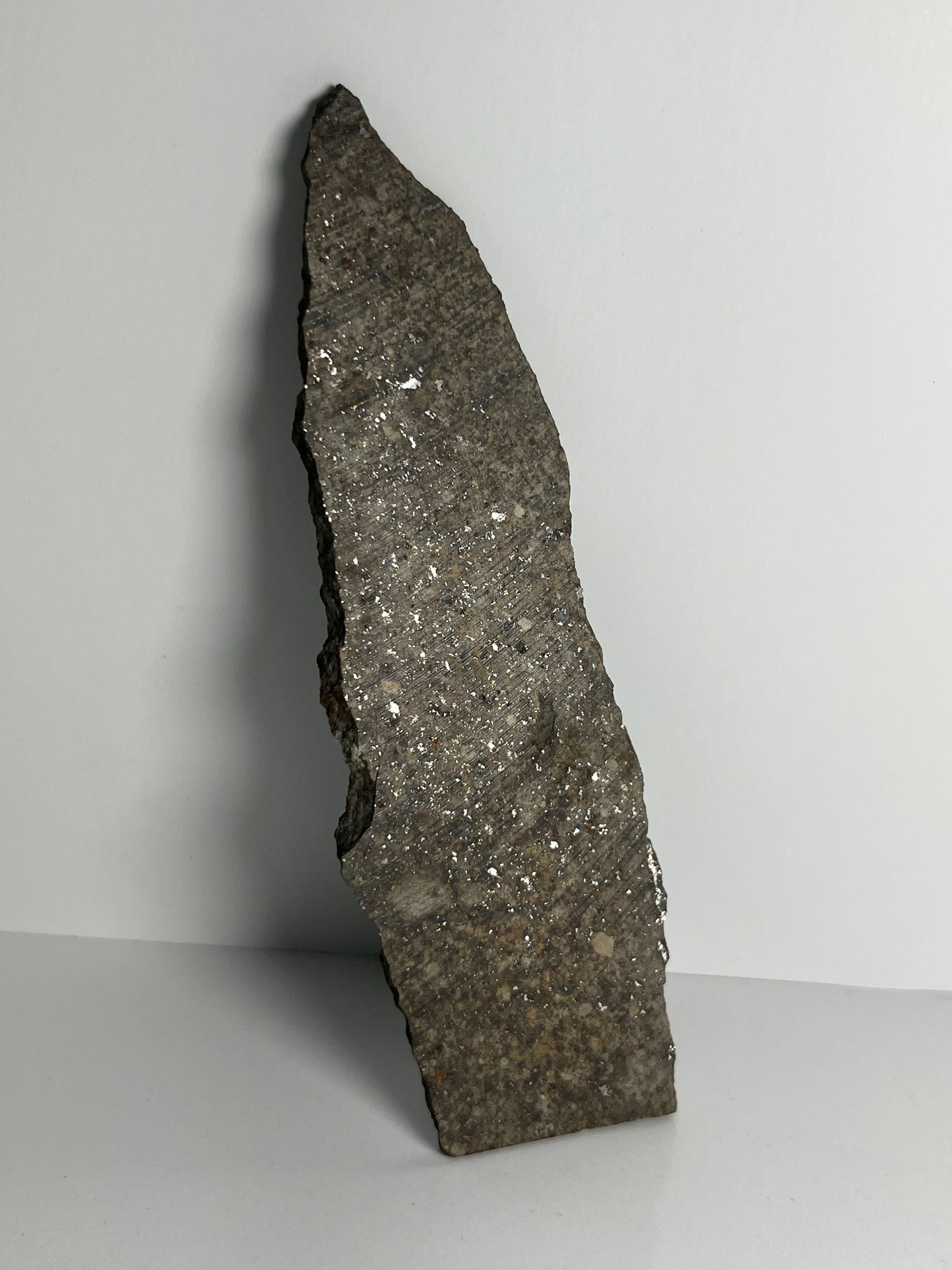 Stone Chondrite "Tazizilet" Meteorite Slice - Recovered 2006, Agadez, Niger - 39.1g