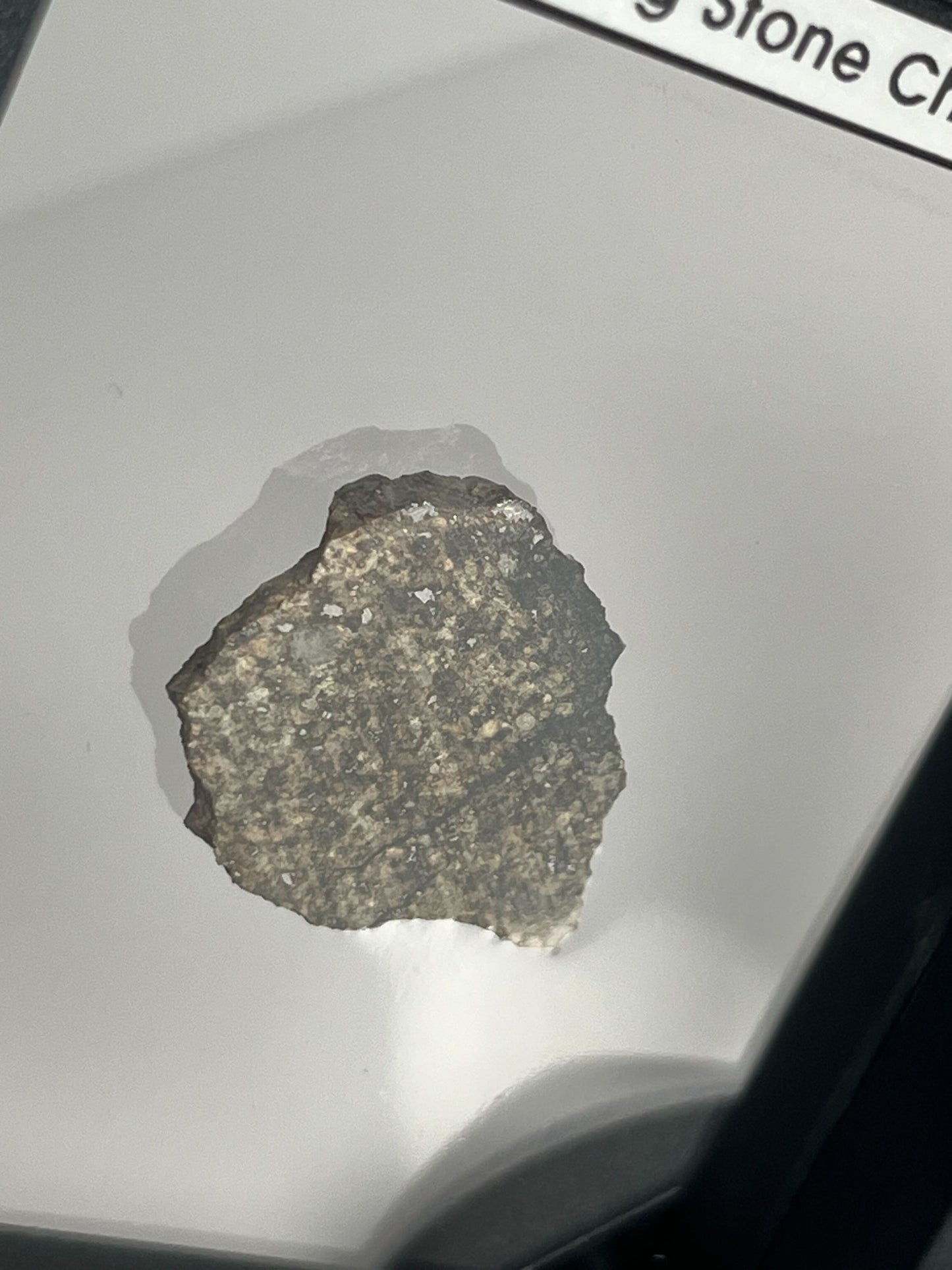Stone Chondrite "Tazizilet" Meteorite Slice - Recovered 2006, Agadez, Niger - 5.9g