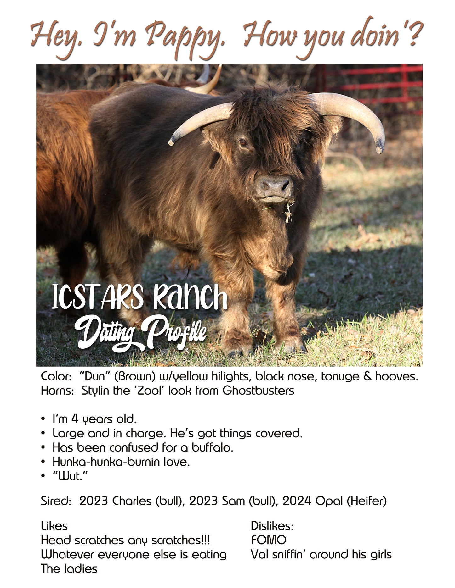 Pappy - AHCA Dun Bull