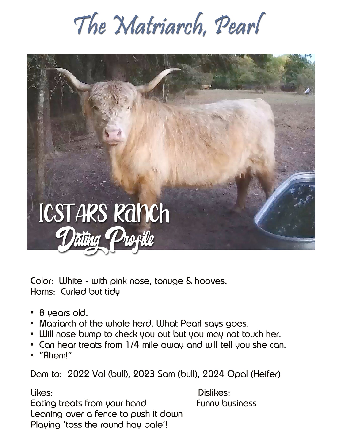 Pearl - Herd Dame, white, full sized