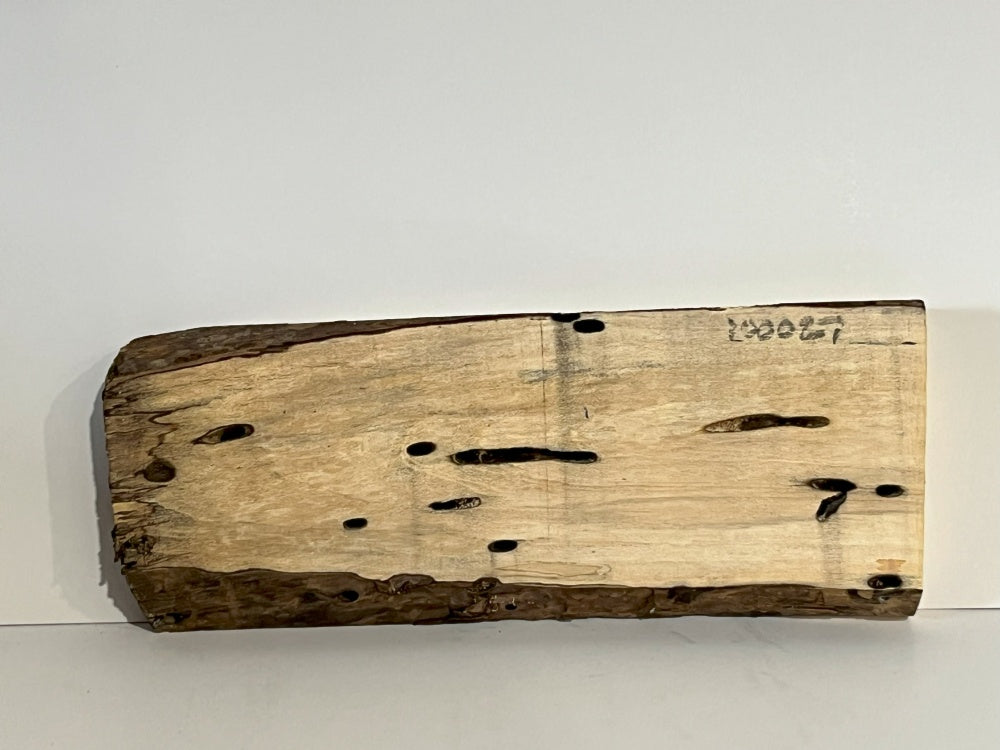 Spalted Maple Knife Scale Hardwood Plank (Unstabilized) 100027