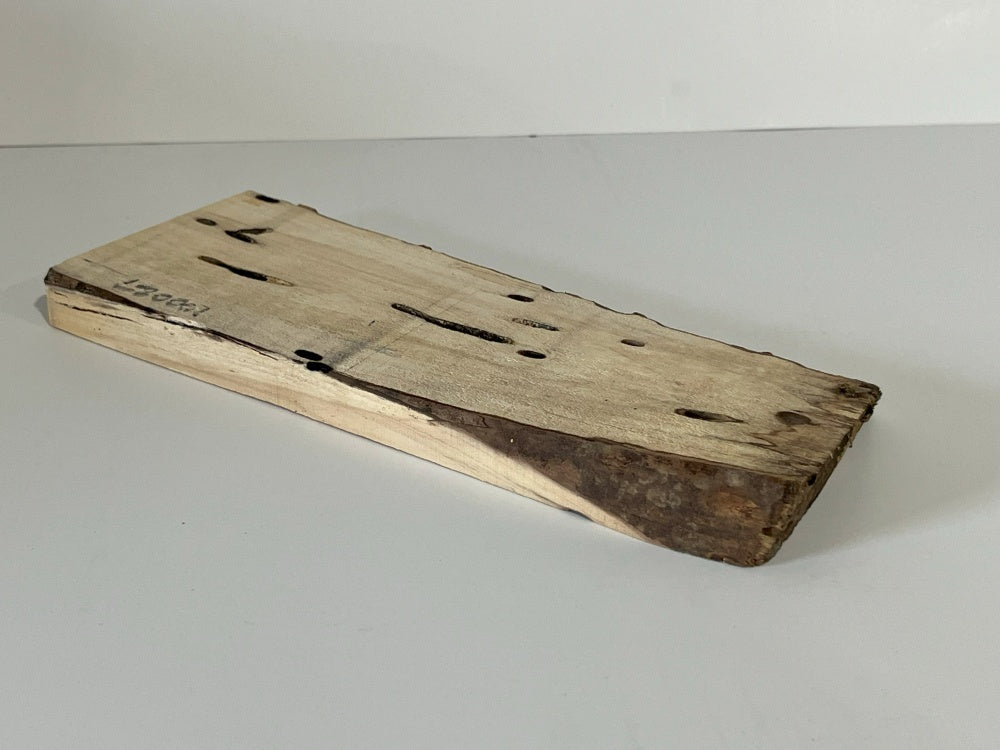 Spalted Maple Knife Scale Hardwood Plank (Unstabilized) 100027