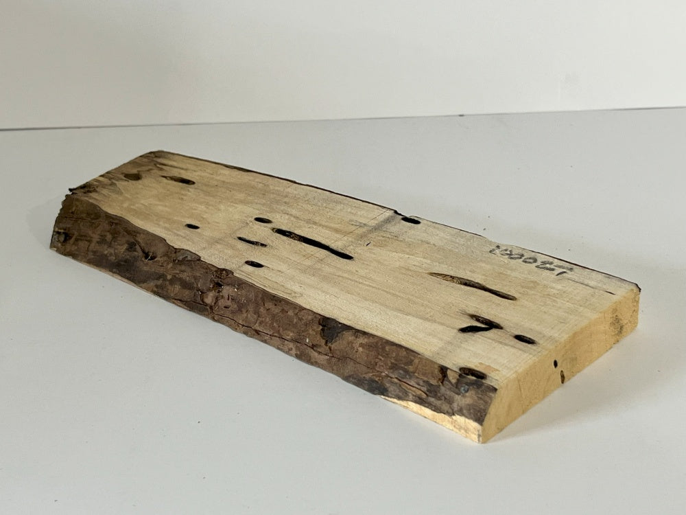 Spalted Maple Knife Scale Hardwood Plank (Unstabilized) 100027
