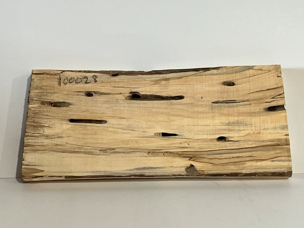 Spalted Maple Knife Scale Hardwood Plank (Unstabilized) 100028