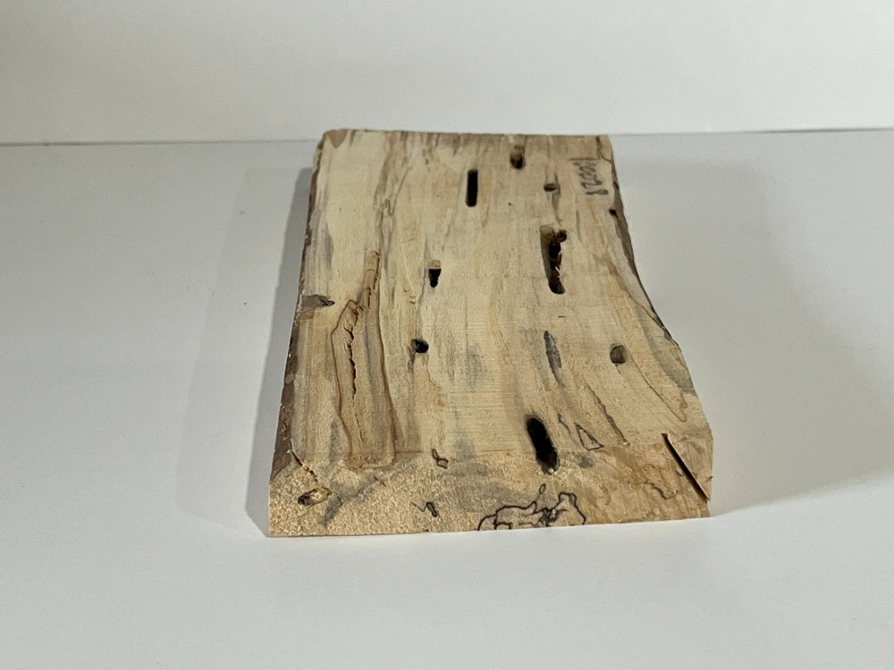 Spalted Maple Knife Scale Hardwood Plank (Unstabilized) 100028