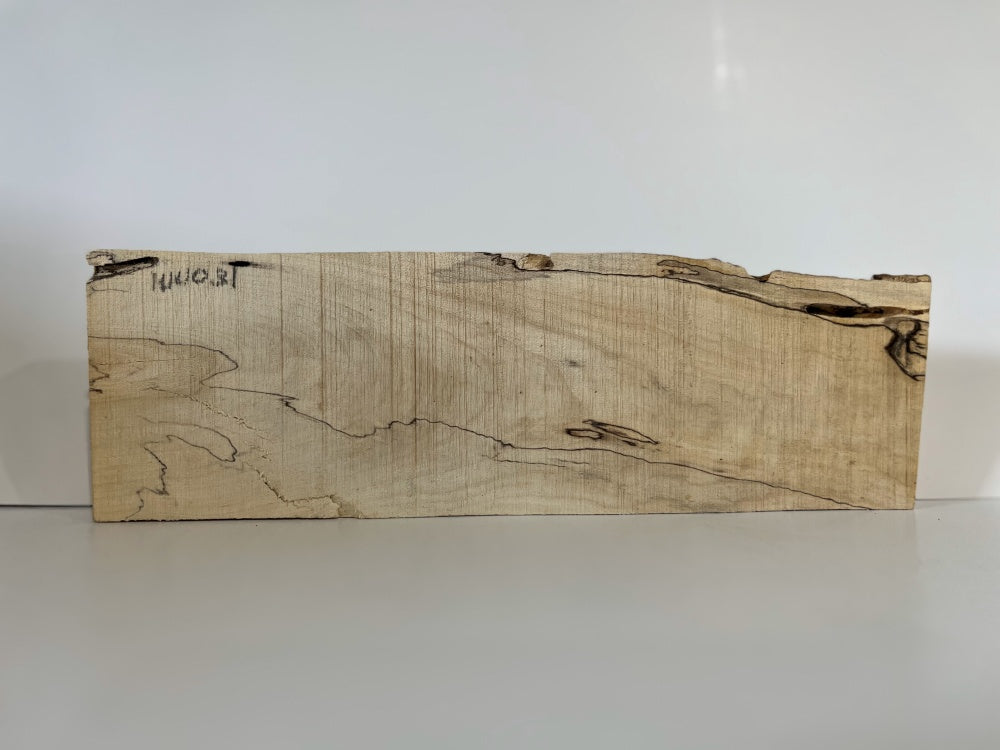 Spalted Maple Knife Scale Hardwood Plank (Unstabilized) 100031