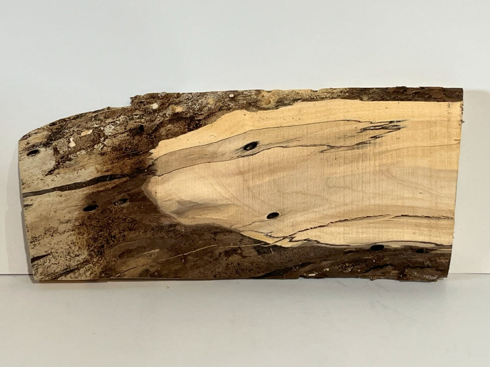 Spalted Maple Knife Scale Hardwood Plank (Unstabilized) 200001