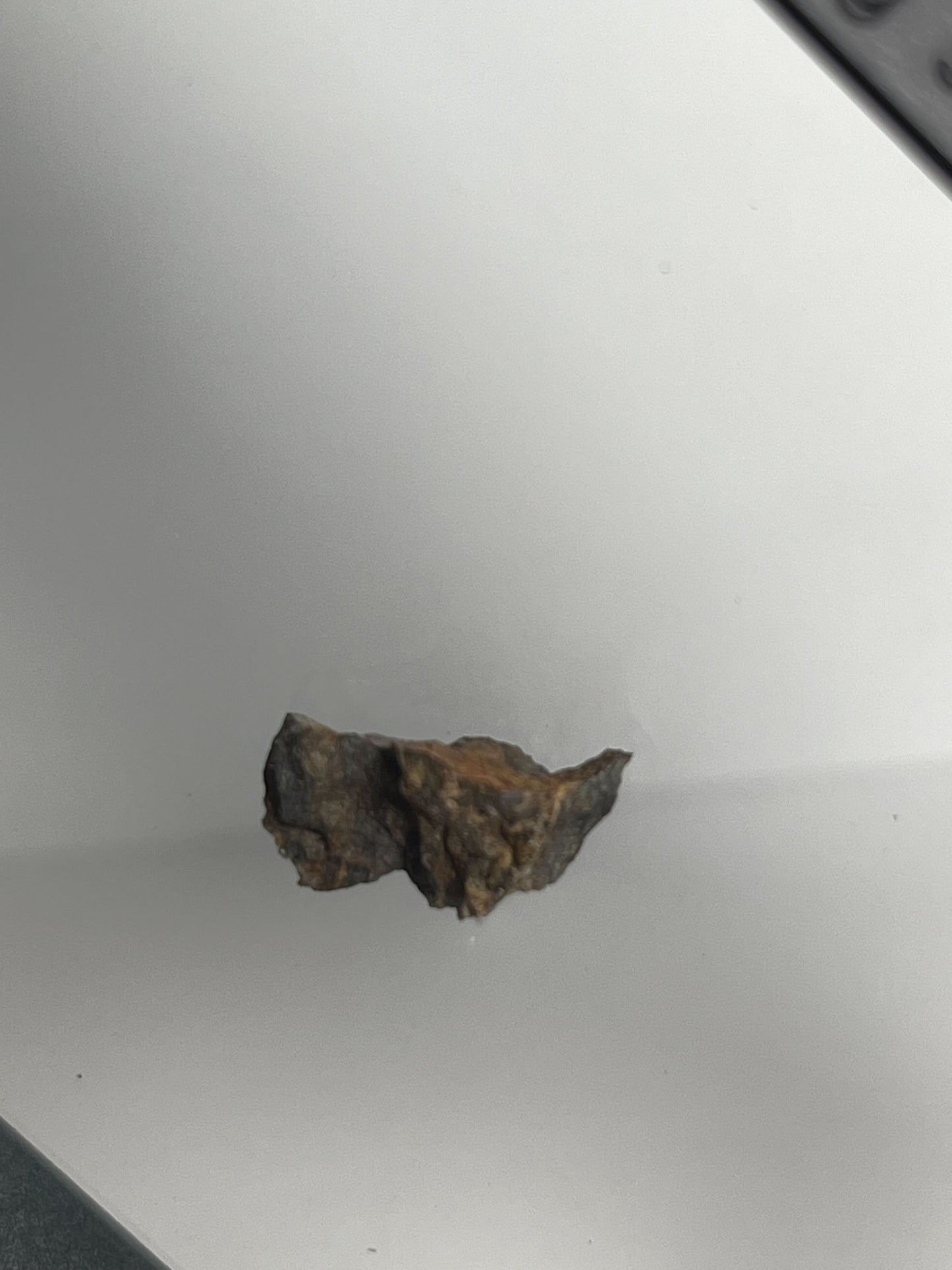 Stone Chondrite "Tazizilet" Meteorite Slice - Recovered 2006, Agadez, Niger - 0.8g
