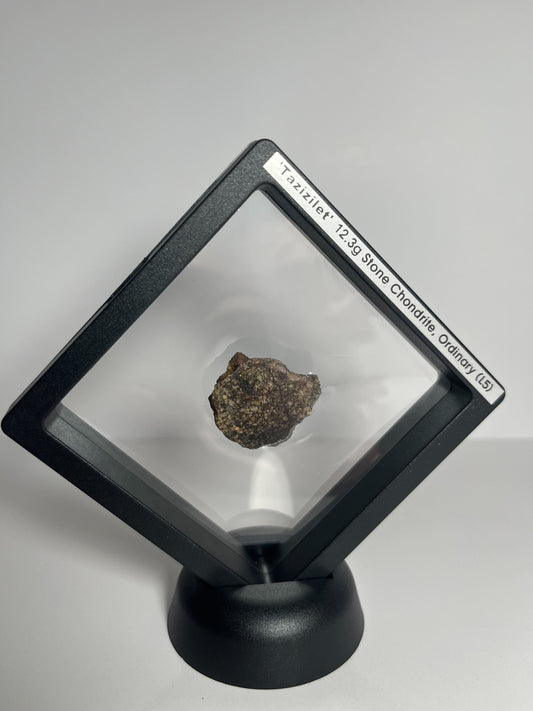 Stone Chondrite "Tazizilet" Meteorite Slice - Recovered 2006, Agadez, Niger - 12.3g