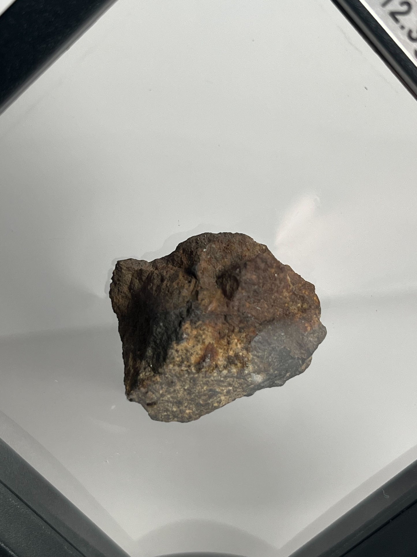 Stone Chondrite "Tazizilet" Meteorite Slice - Recovered 2006, Agadez, Niger - 12.3g