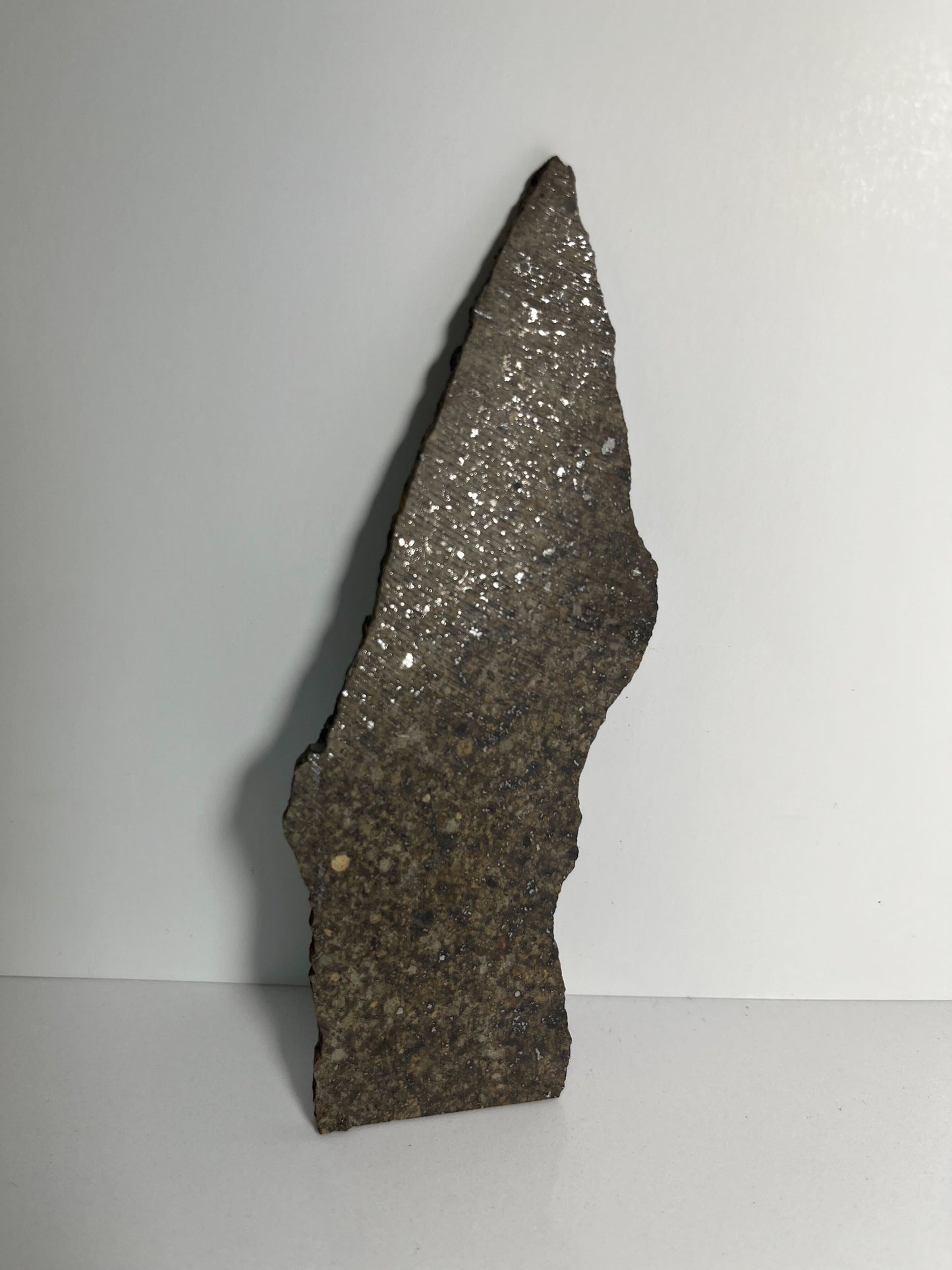 Stone Chondrite "Tazizilet" Meteorite Slice - Recovered 2006, Agadez, Niger - 34.8g
