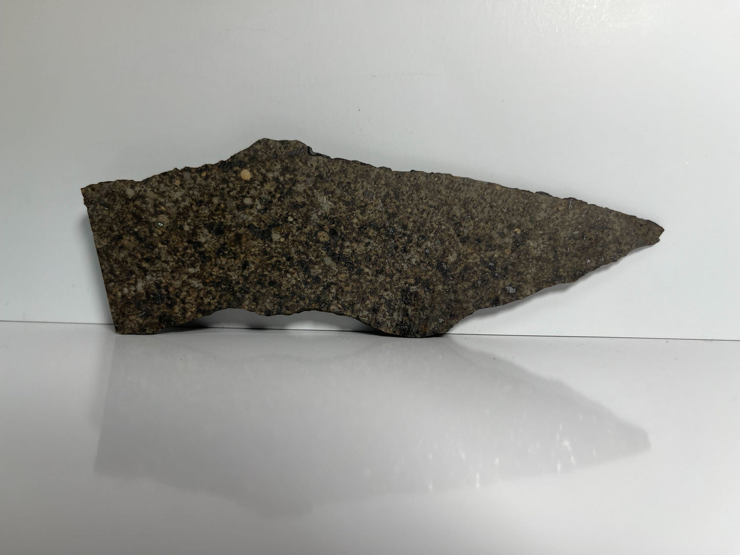 Stone Chondrite "Tazizilet" Meteorite Slice - Recovered 2006, Agadez, Niger - 34.8g