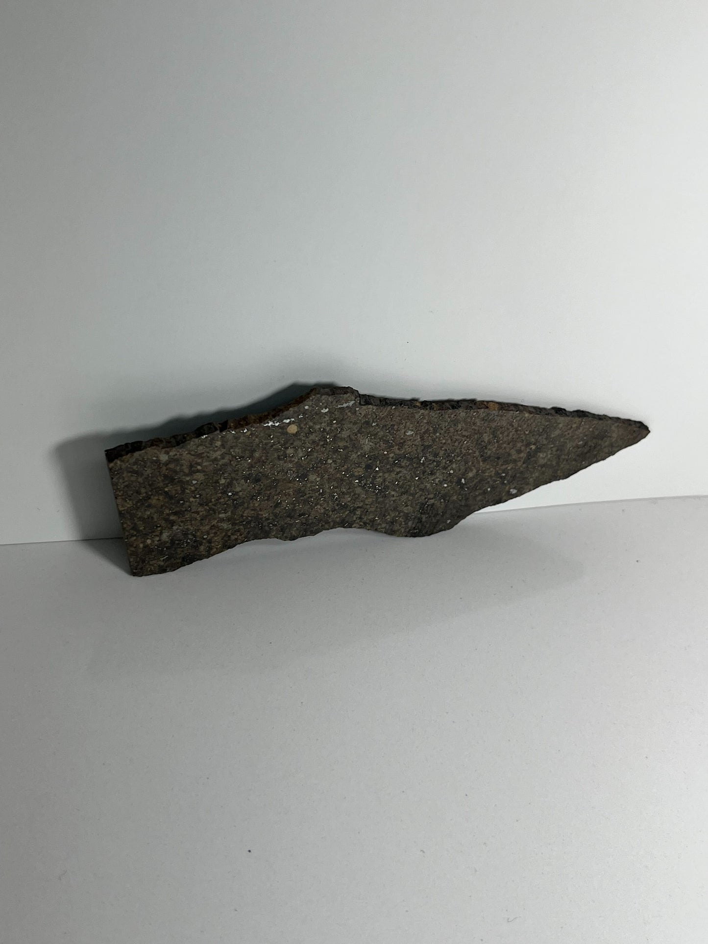Stone Chondrite "Tazizilet" Meteorite Slice - Recovered 2006, Agadez, Niger - 34.8g