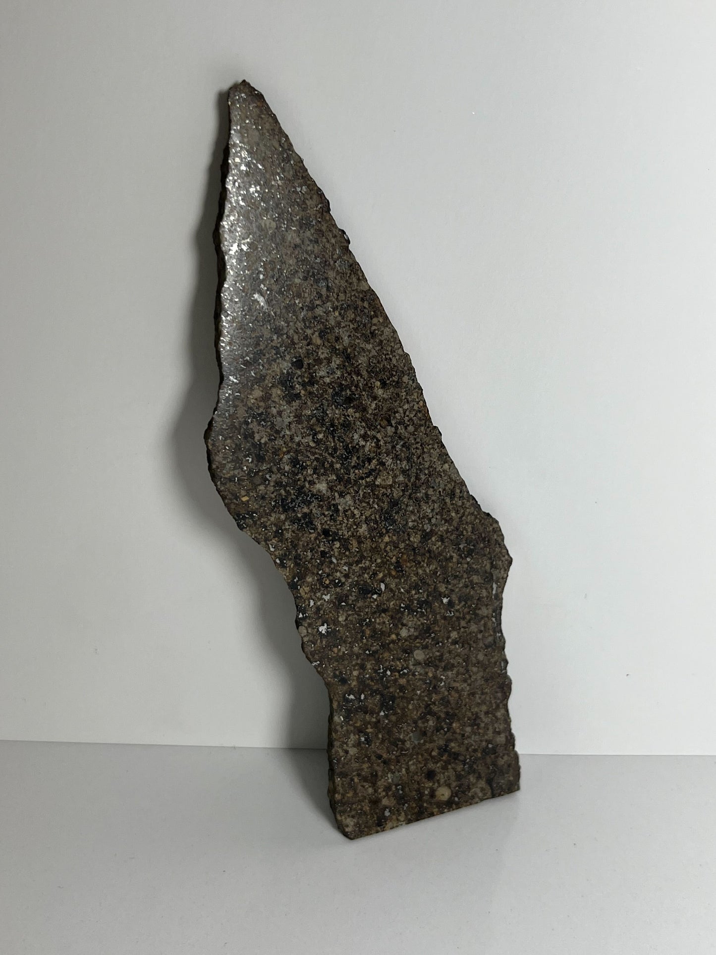 Stone Chondrite "Tazizilet" Meteorite Slice - Recovered 2006, Agadez, Niger - 34.8g