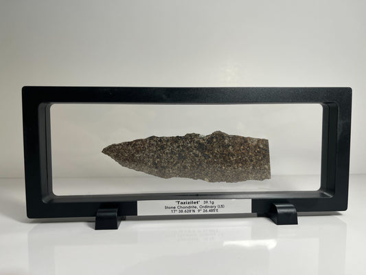 Stone Chondrite "Tazizilet" Meteorite Slice - Recovered 2006, Agadez, Niger - 39.1g