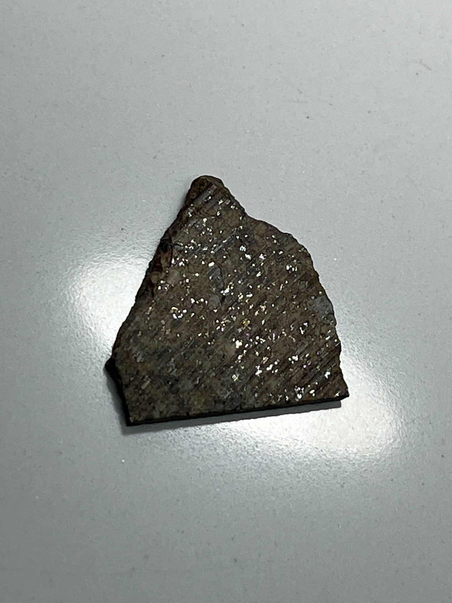 Stone Chondrite "Tazizilet" Meteorite Slice - Recovered 2006, Agadez, Niger - 3.5g