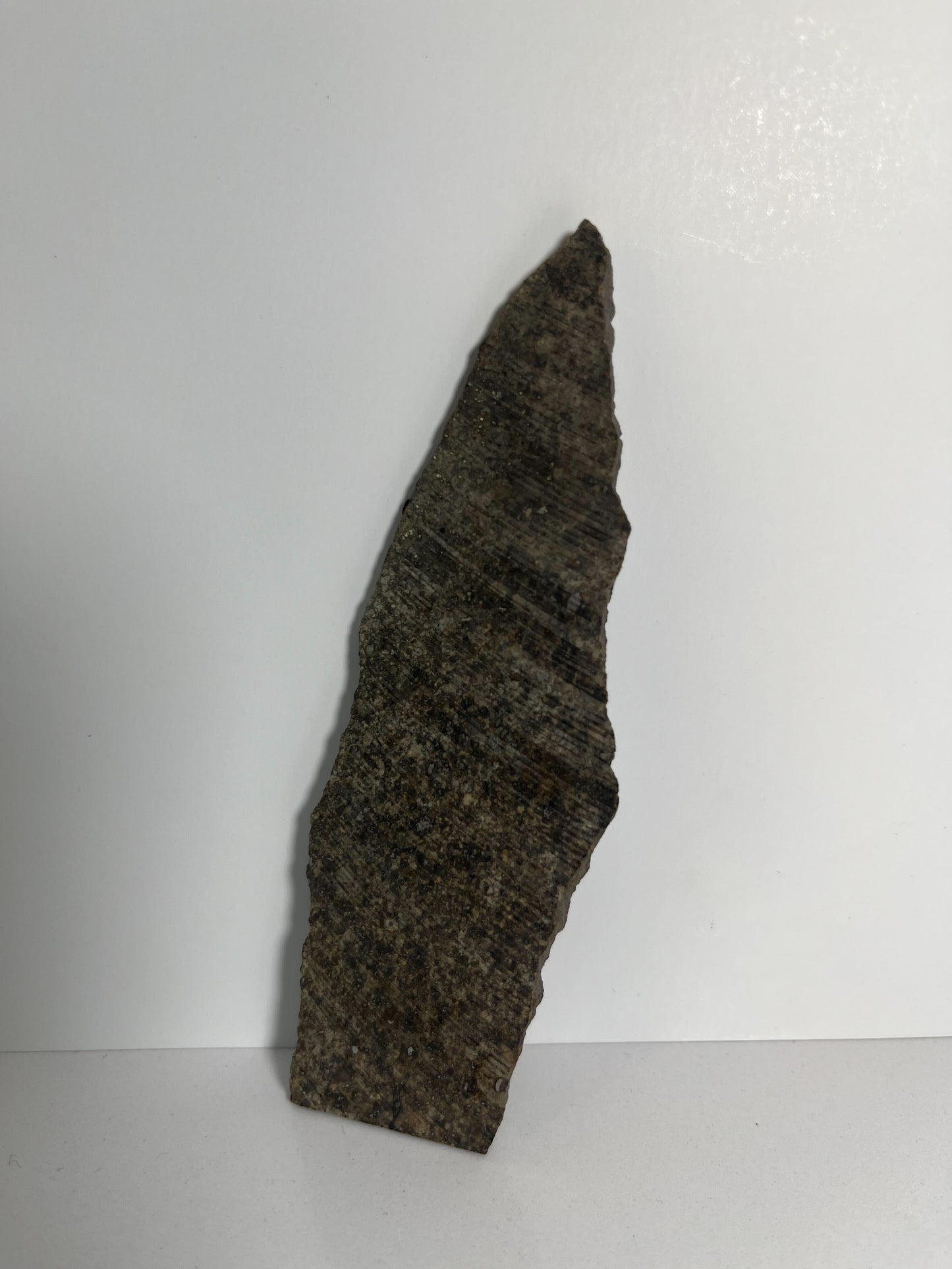 Stone Chondrite "Tazizilet" Meteorite Slice - Recovered 2006, Agadez, Niger - 47.3g