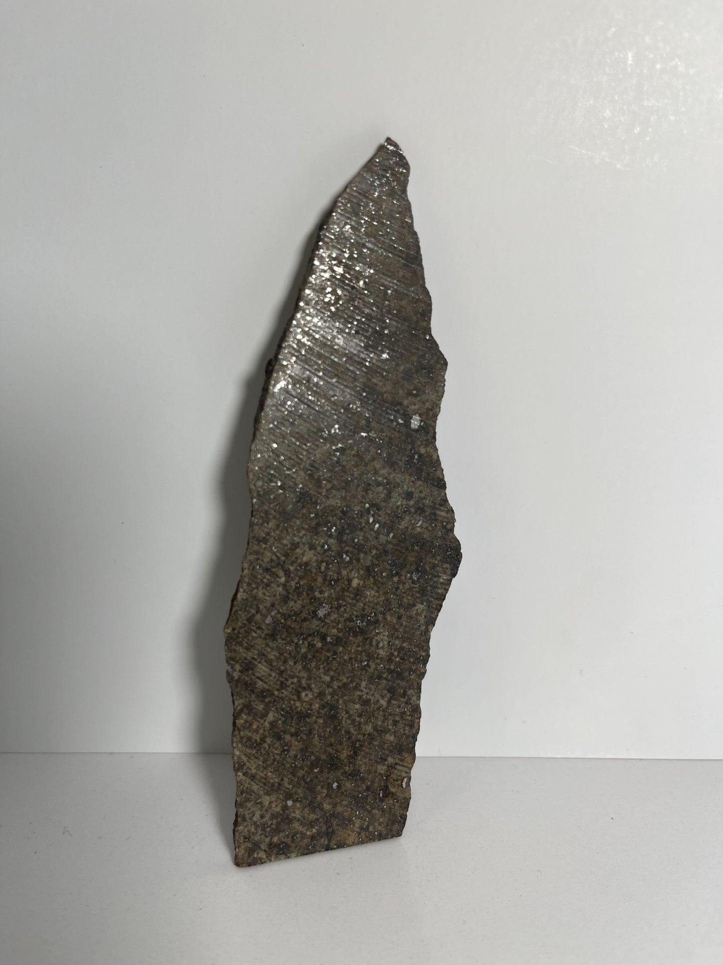 Stone Chondrite "Tazizilet" Meteorite Slice - Recovered 2006, Agadez, Niger - 47.3g