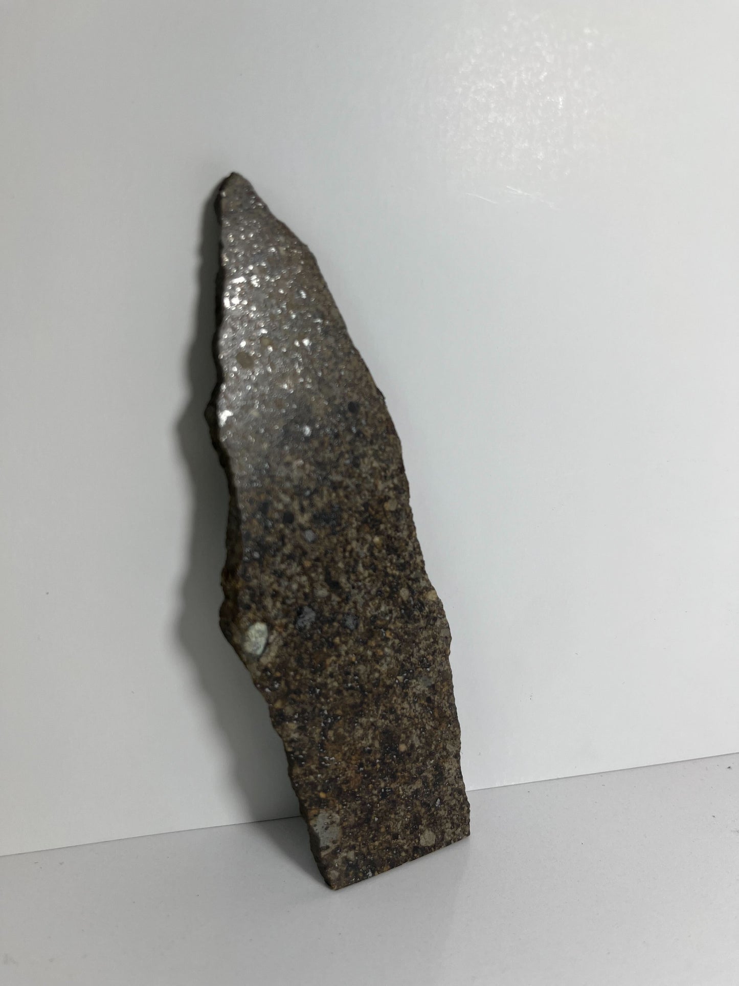 Stone Chondrite "Tazizilet" Meteorite Slice - Recovered 2006, Agadez, Niger - 47.3g