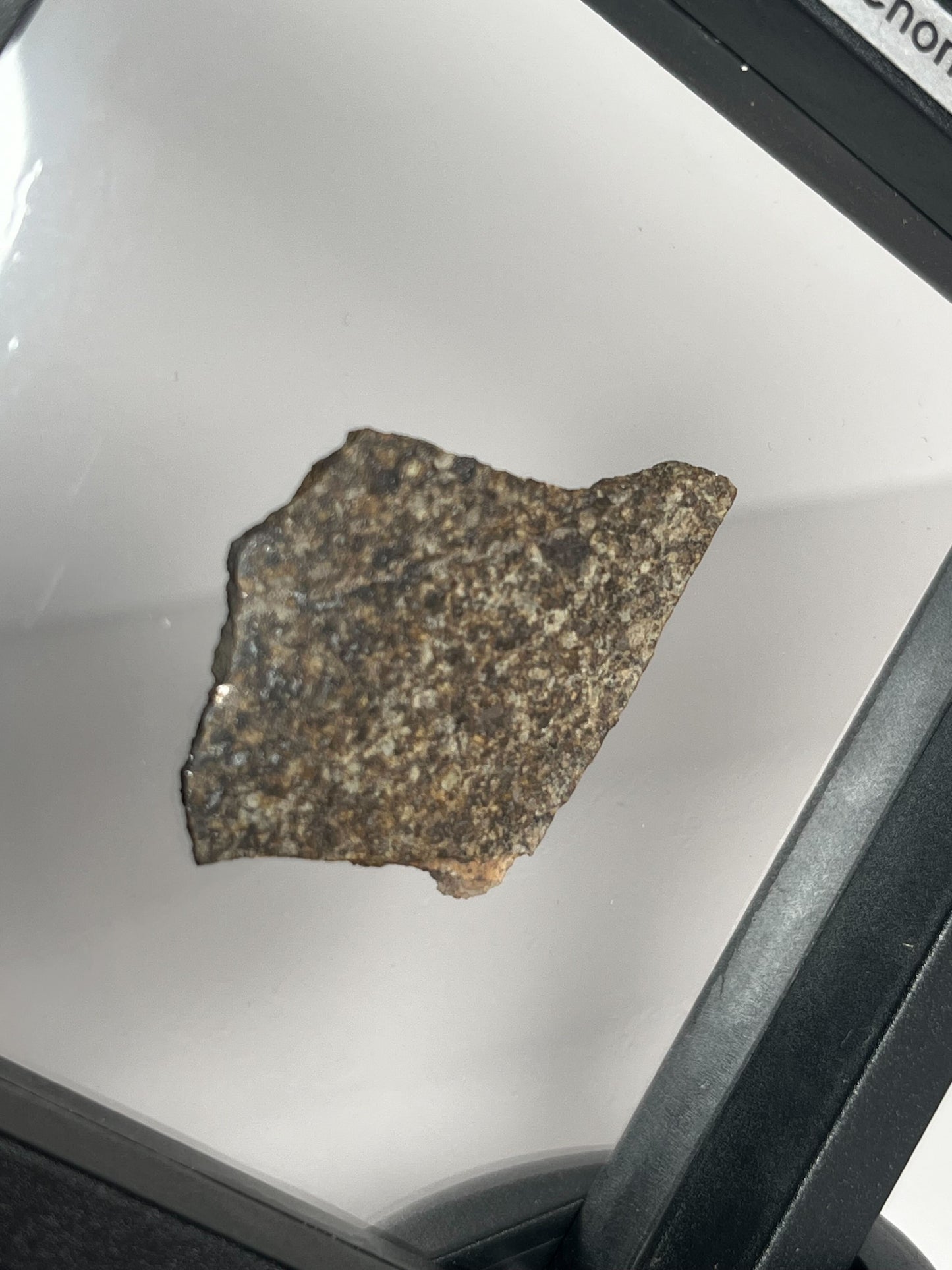 Stone Chondrite "Tazizilet" Meteorite Slice - Recovered 2006, Agadez, Niger - 5.1g