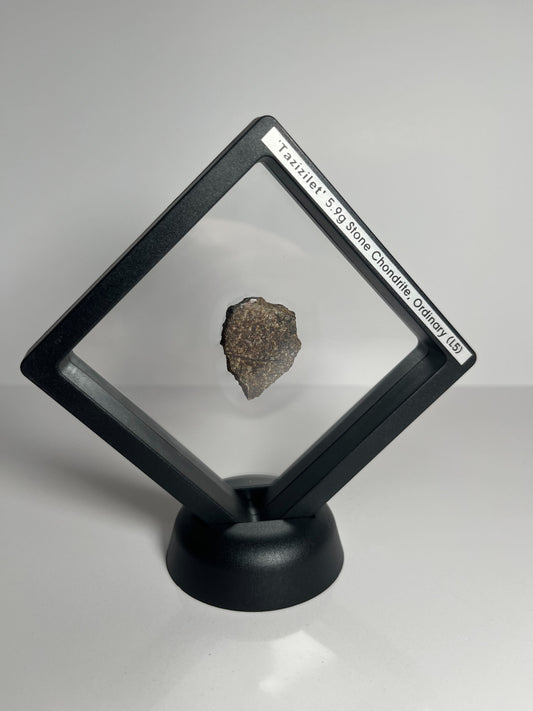 Stone Chondrite "Tazizilet" Meteorite Slice - Recovered 2006, Agadez, Niger - 5.9g