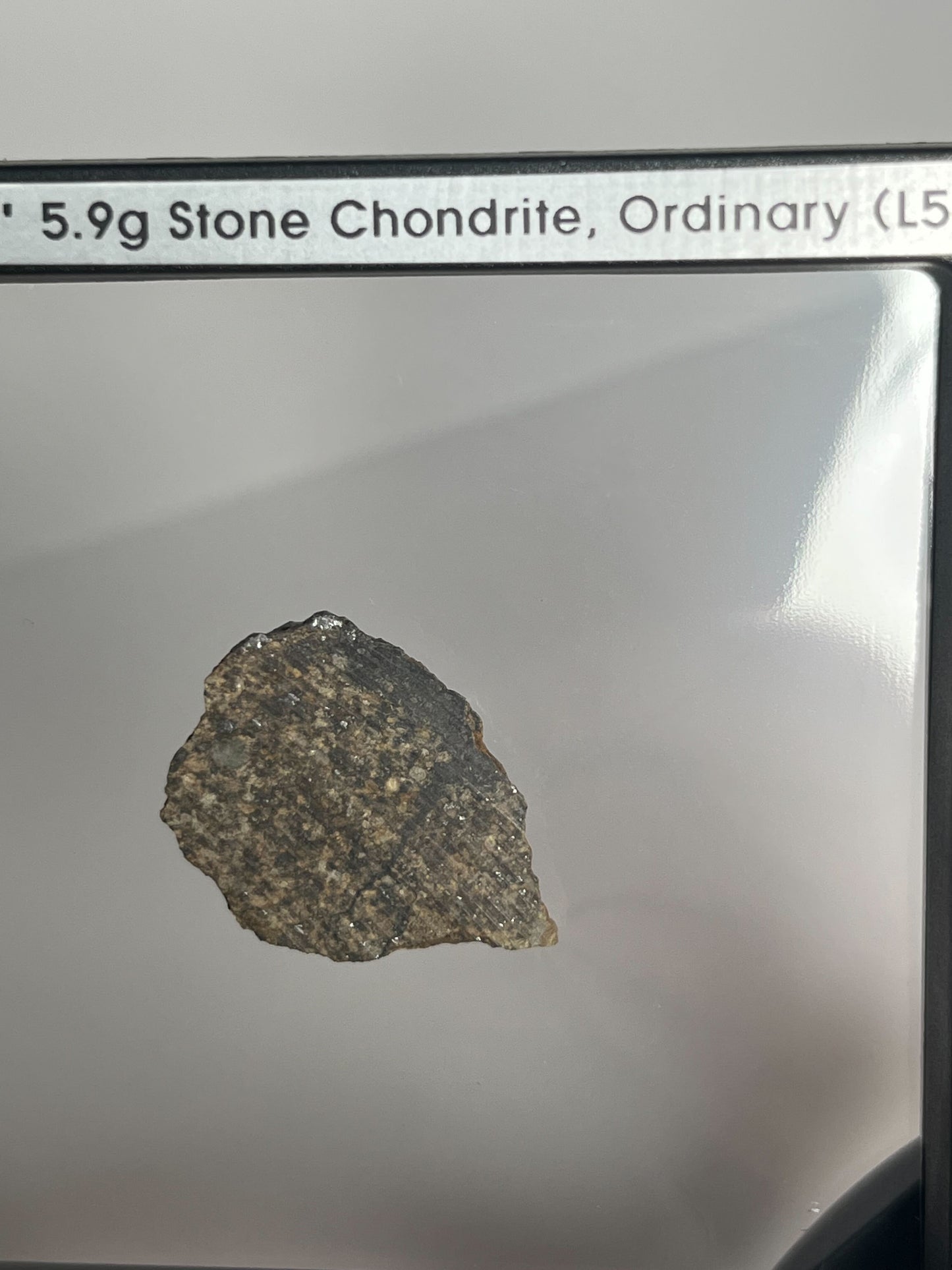 Stone Chondrite "Tazizilet" Meteorite Slice - Recovered 2006, Agadez, Niger - 5.9g