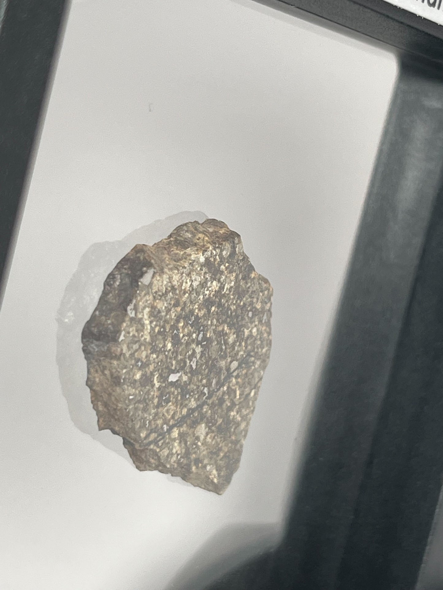 Stone Chondrite "Tazizilet" Meteorite Slice - Recovered 2006, Agadez, Niger - 5.9g