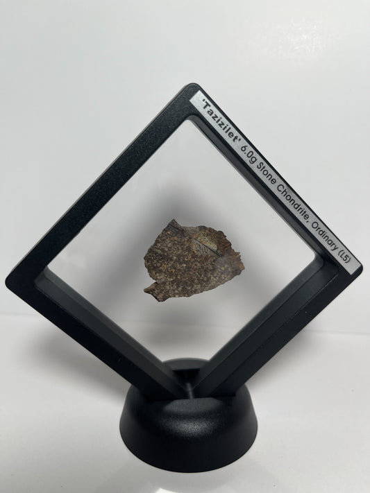 Stone Chondrite "Tazizilet" Meteorite Slice - Recovered 2006, Agadez, Niger - 6.0g