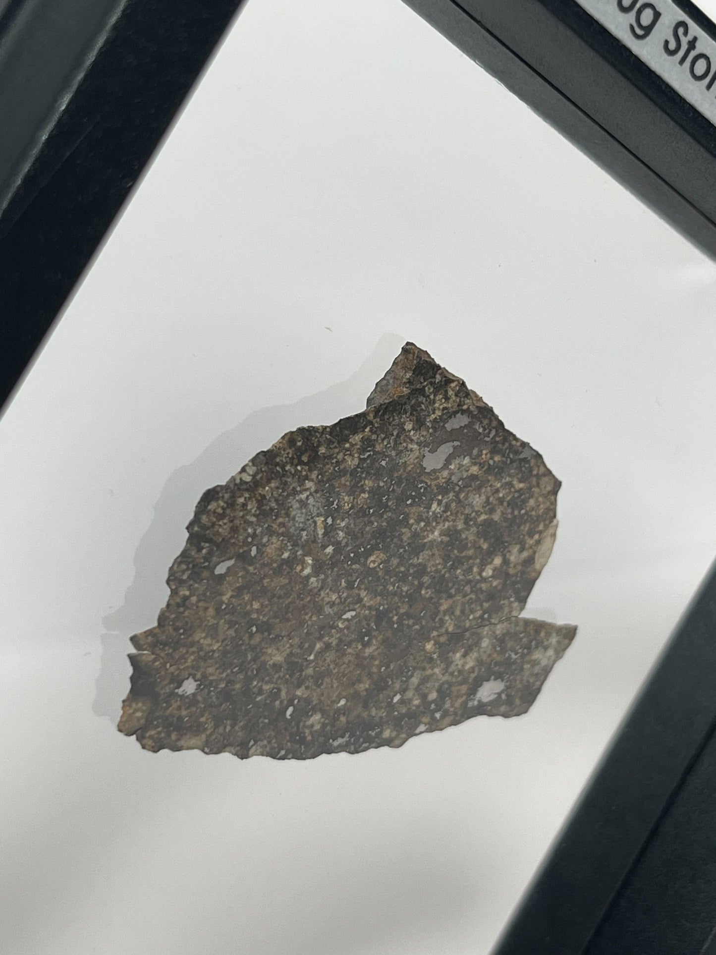 Stone Chondrite "Tazizilet" Meteorite Slice - Recovered 2006, Agadez, Niger - 6.0g