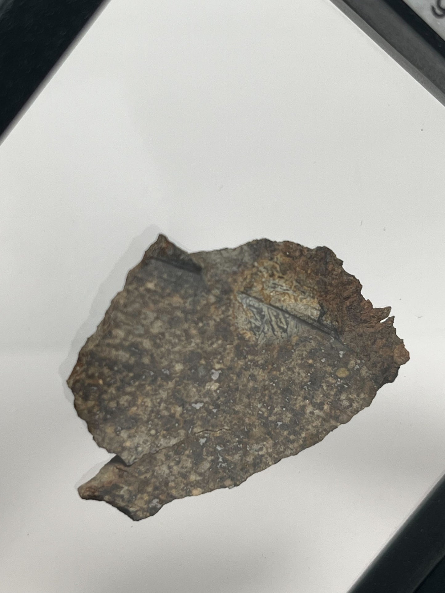 Stone Chondrite "Tazizilet" Meteorite Slice - Recovered 2006, Agadez, Niger - 6.0g