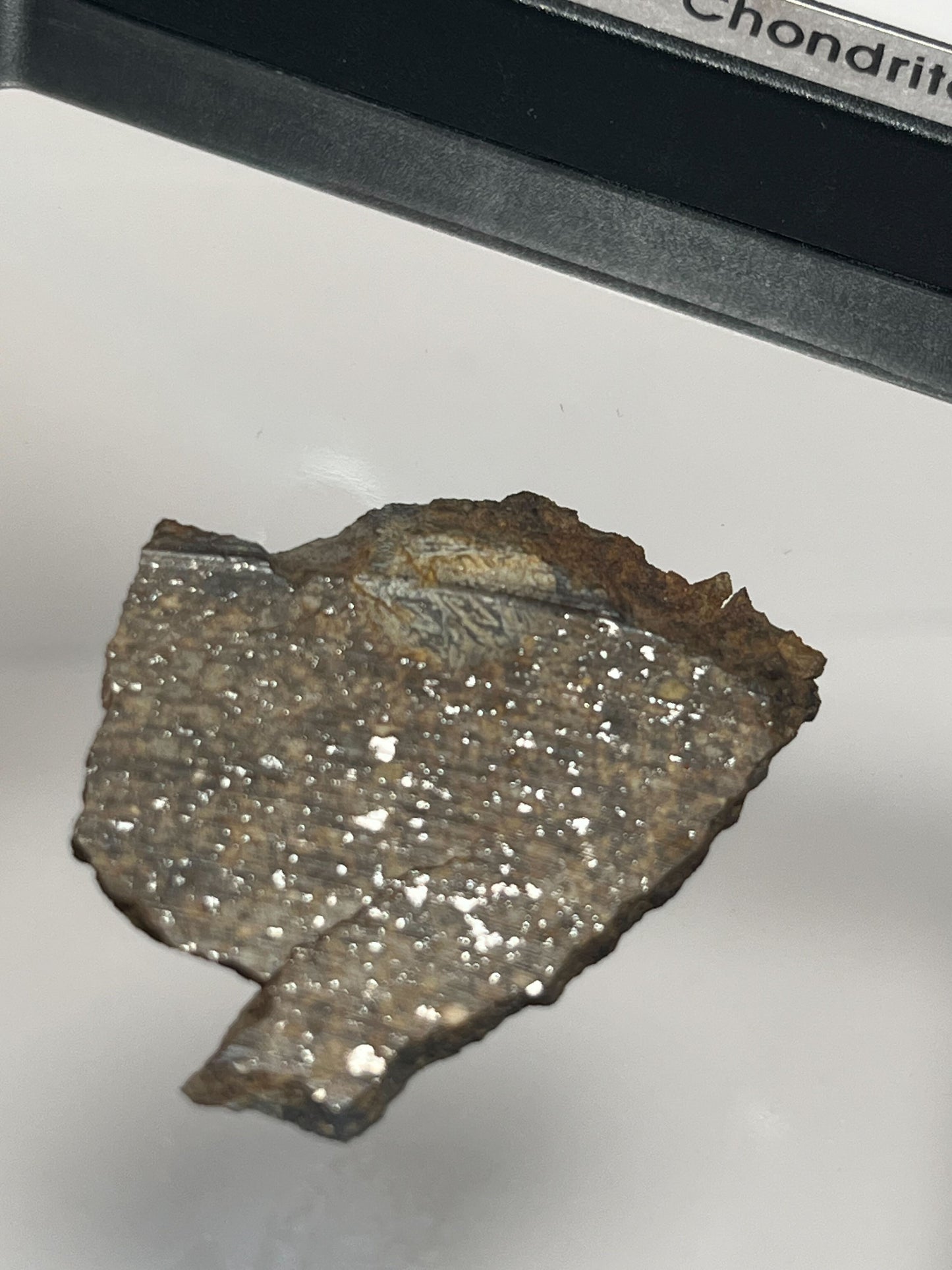 Stone Chondrite "Tazizilet" Meteorite Slice - Recovered 2006, Agadez, Niger - 6.0g