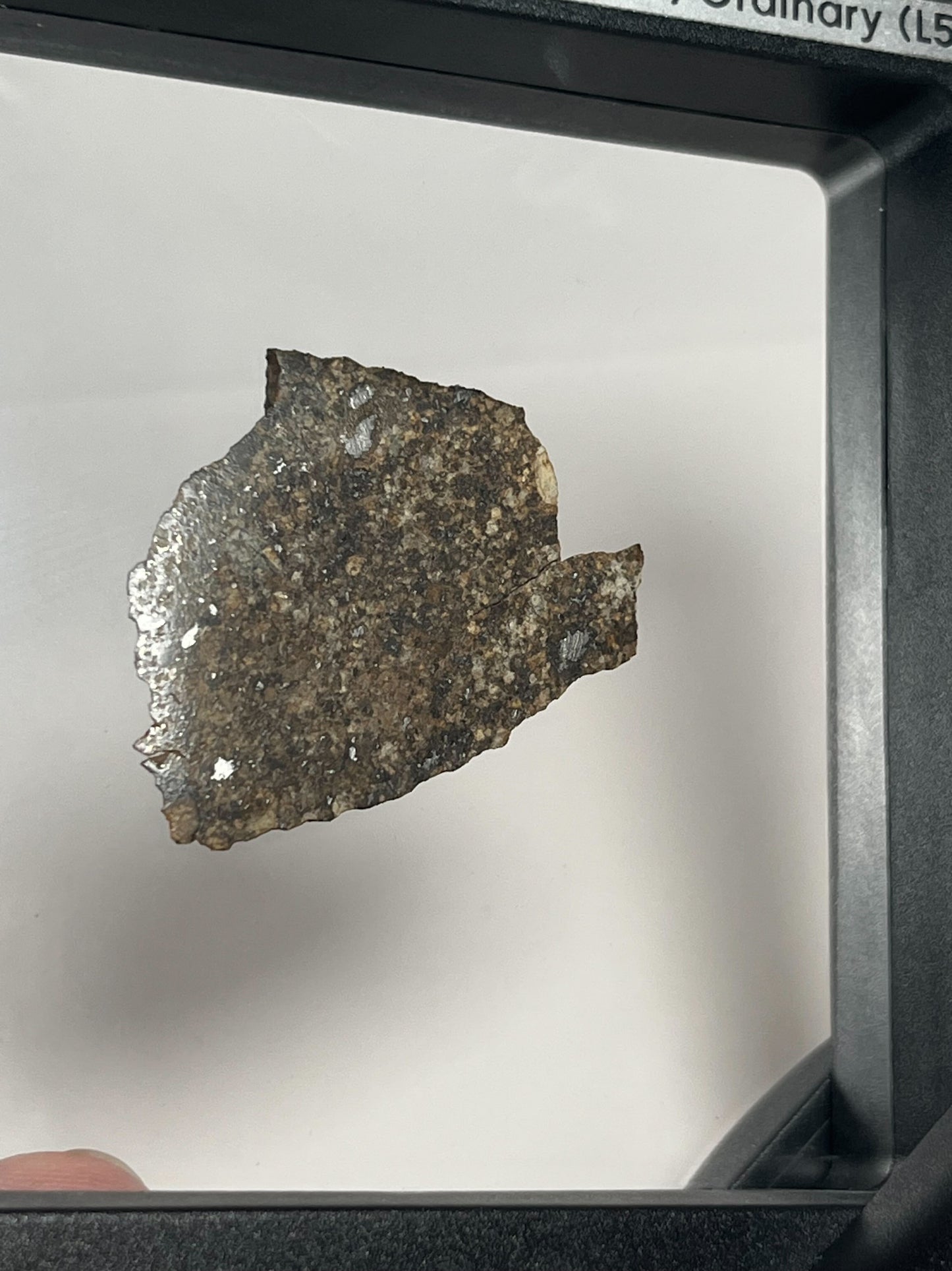 Stone Chondrite "Tazizilet" Meteorite Slice - Recovered 2006, Agadez, Niger - 6.0g