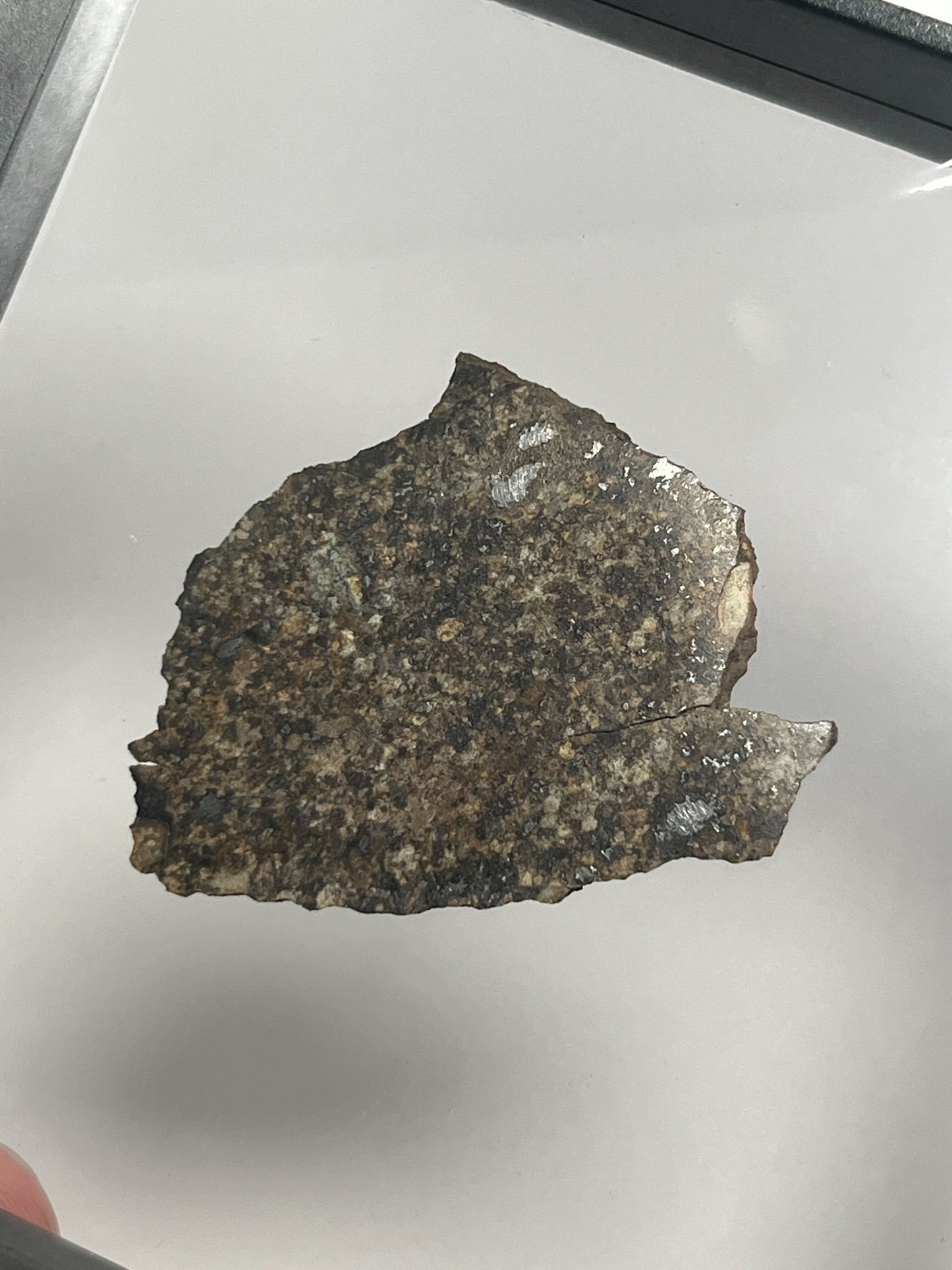Stone Chondrite "Tazizilet" Meteorite Slice - Recovered 2006, Agadez, Niger - 6.0g