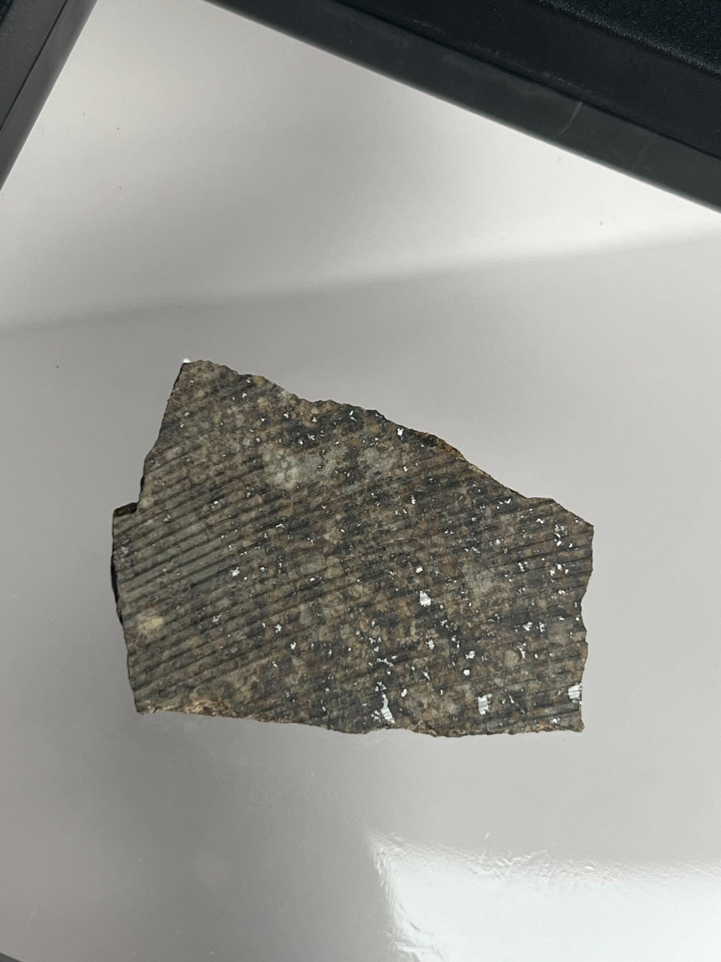 Stone Chondrite "Tazizilet" Meteorite Slice - Recovered 2006, Agadez, Niger - 6.3g