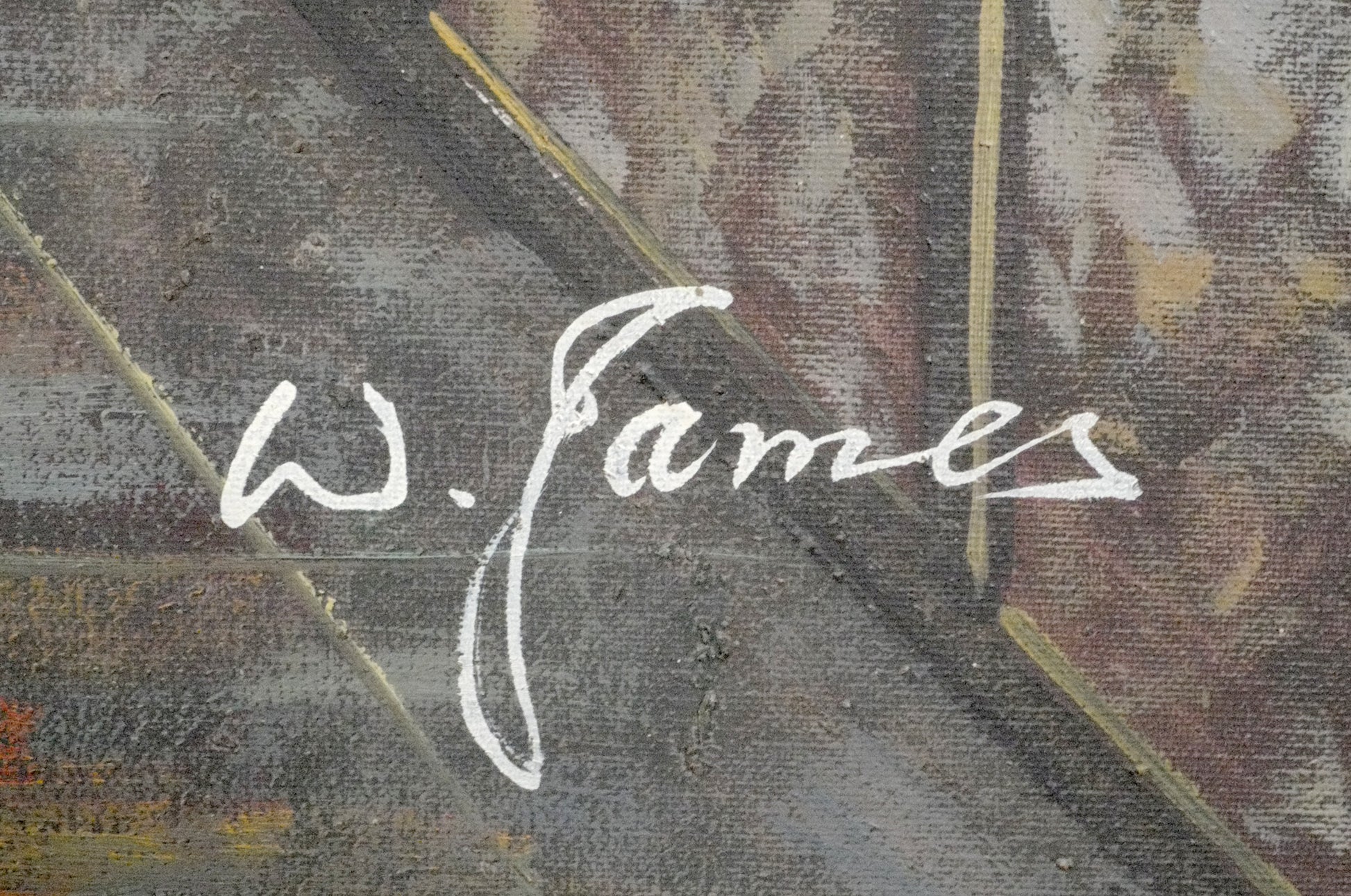 A close-up of  signature reading 'W. James'.